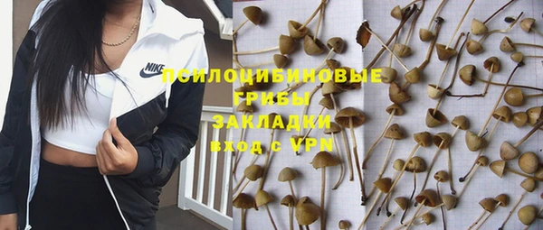 бутират Бородино