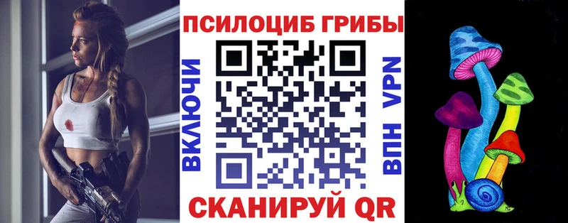 кракен зеркало  Кострома  Галлюциногенные грибы Psilocybine cubensis 